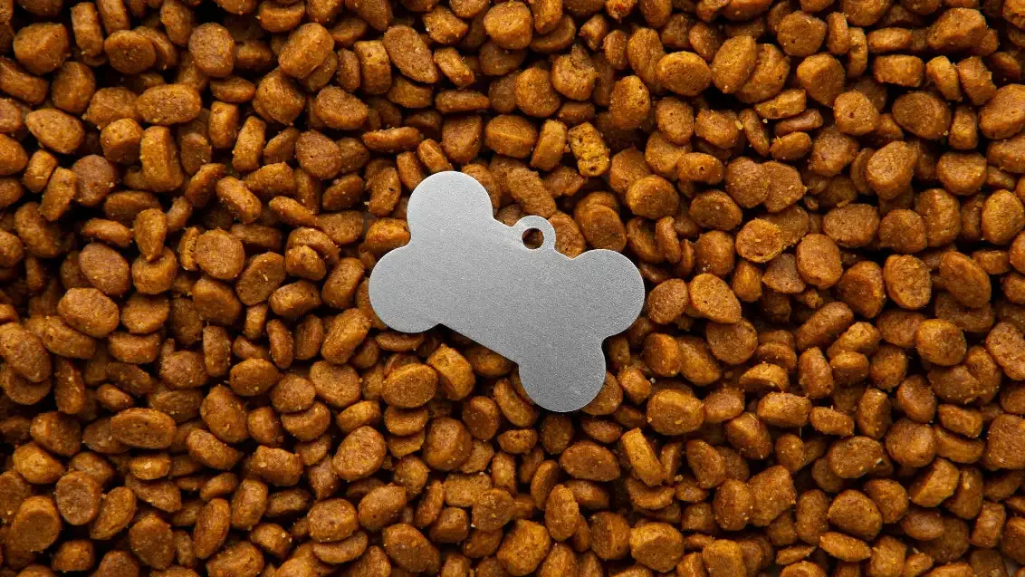 A close-up image showing a dog's food bowl with a gut-healthy meal, possibly including pumpkin or probiotics