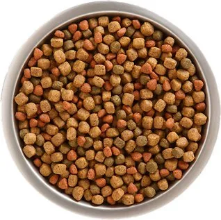 A close-up image showing the size and texture of Rachael Ray Nutrish dog food kibble