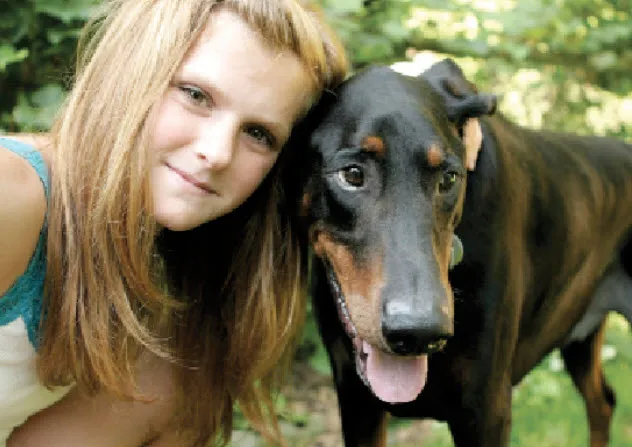 A close-up of a Doberman Pinscher, highlighting its alert and expressive face.