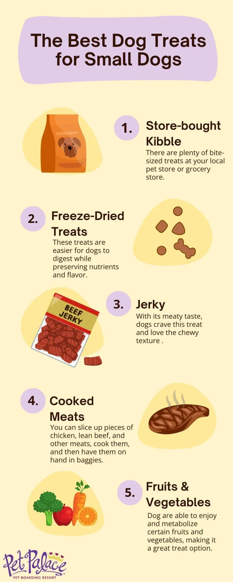 A close-up of a small, happy dog enjoying a treat.