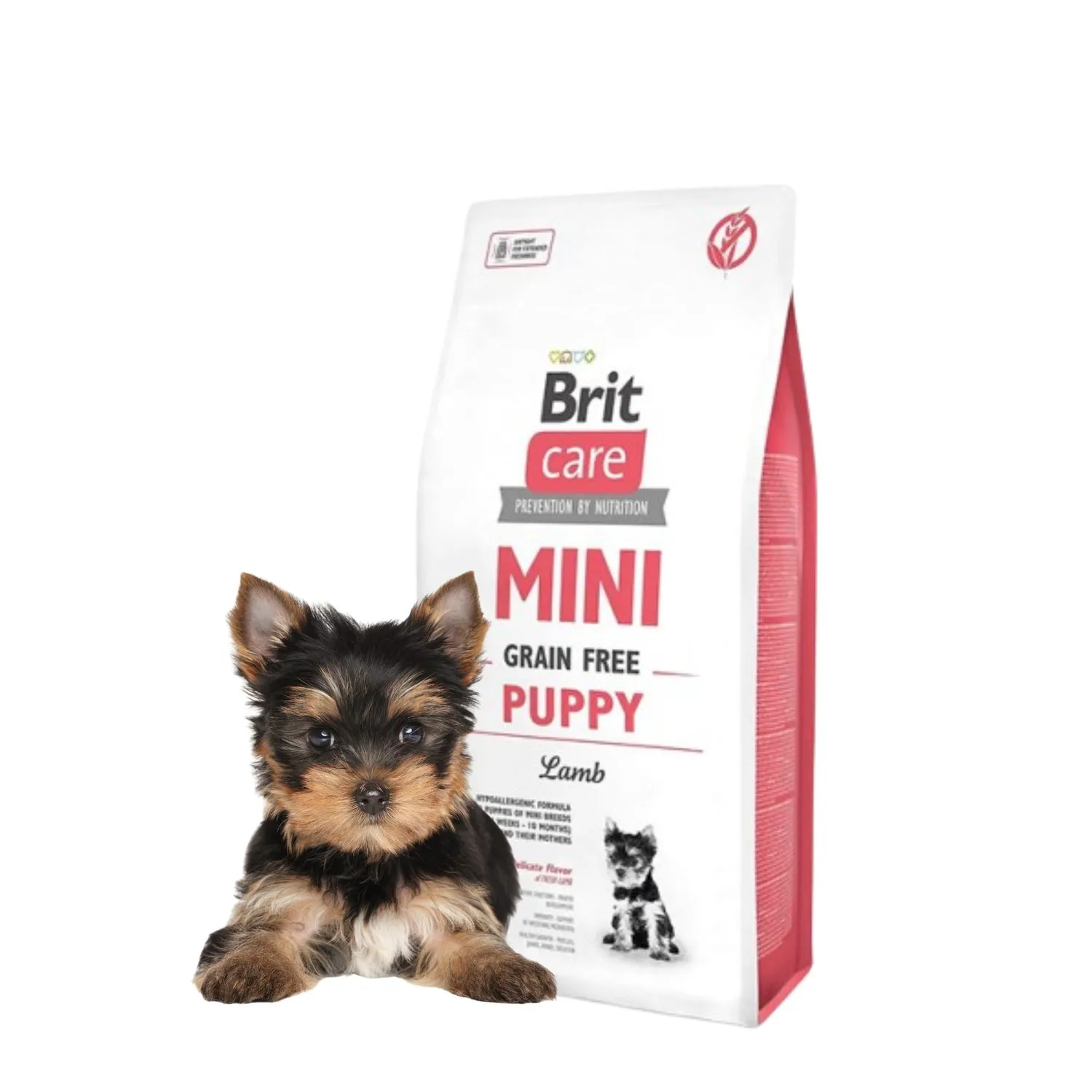 A close-up of Brit Care Mini GF Puppy Lamb kibbles, highlighting their small size perfect for miniature breeds.