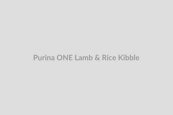 A close-up of Purina ONE Lamb & Rice dry dog food kibble with visible meaty morsels.