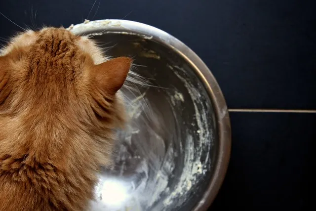 A close-up shot of a cat eagerly licking a mixing bowl, remnants of the homemade treat dough visible, showcasing their enthusiastic approval.