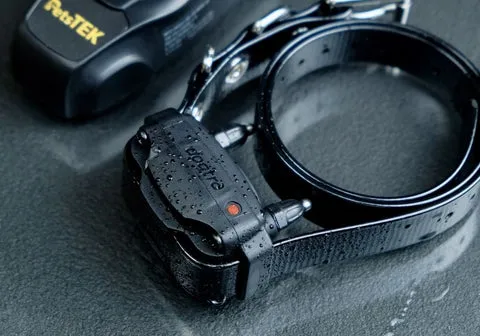 A close-up shot of a wet Dogtra 200NCPT receiver collar, highlighting its waterproof design