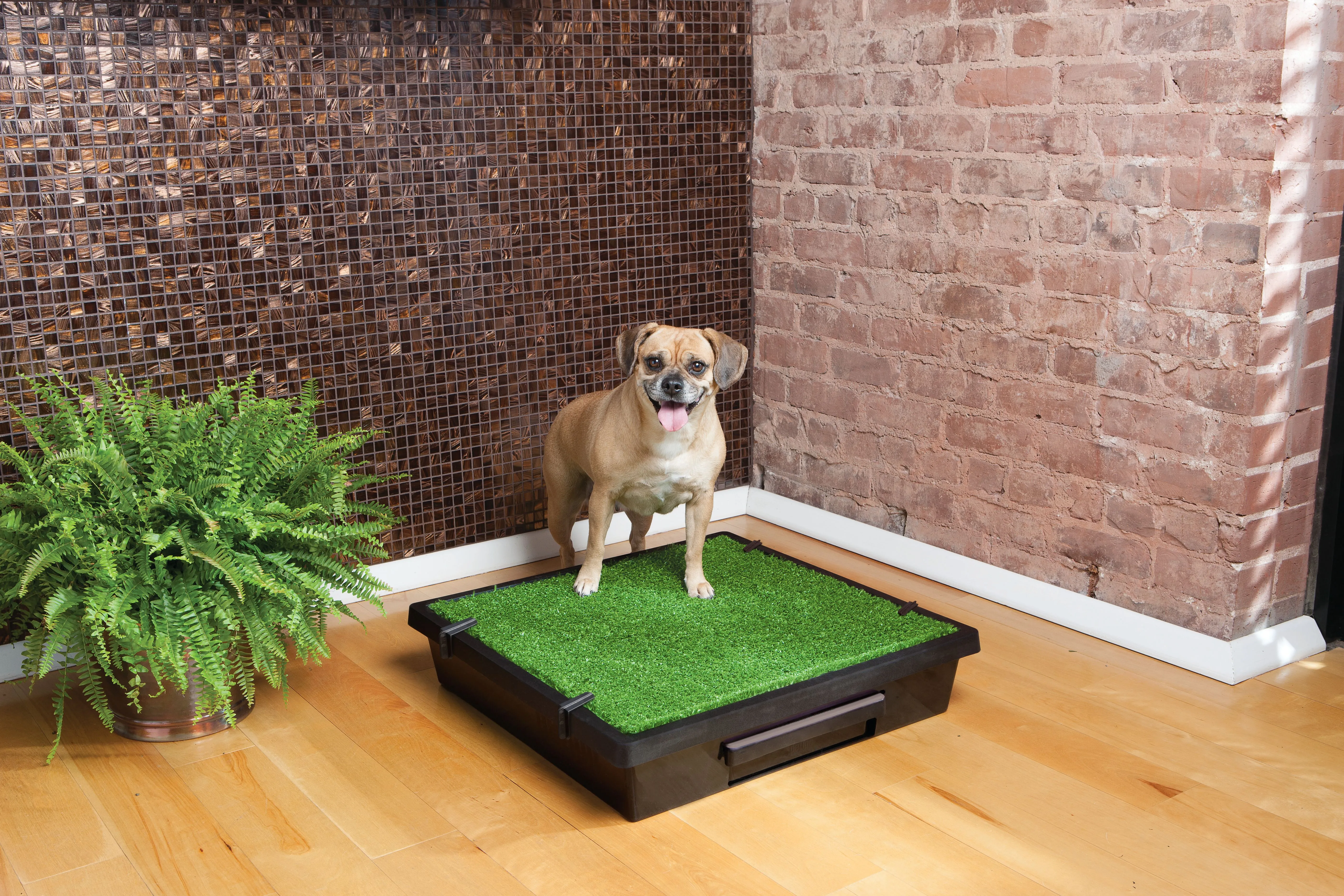 A close-up view of a synthetic grass indoor puppy potty