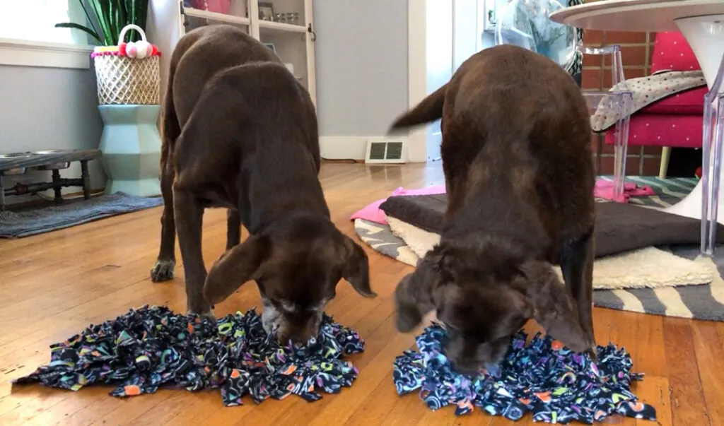 A close-up view of a vibrant, washable snuffle mat designed for dogs, featuring multiple fabric strips for hiding treats