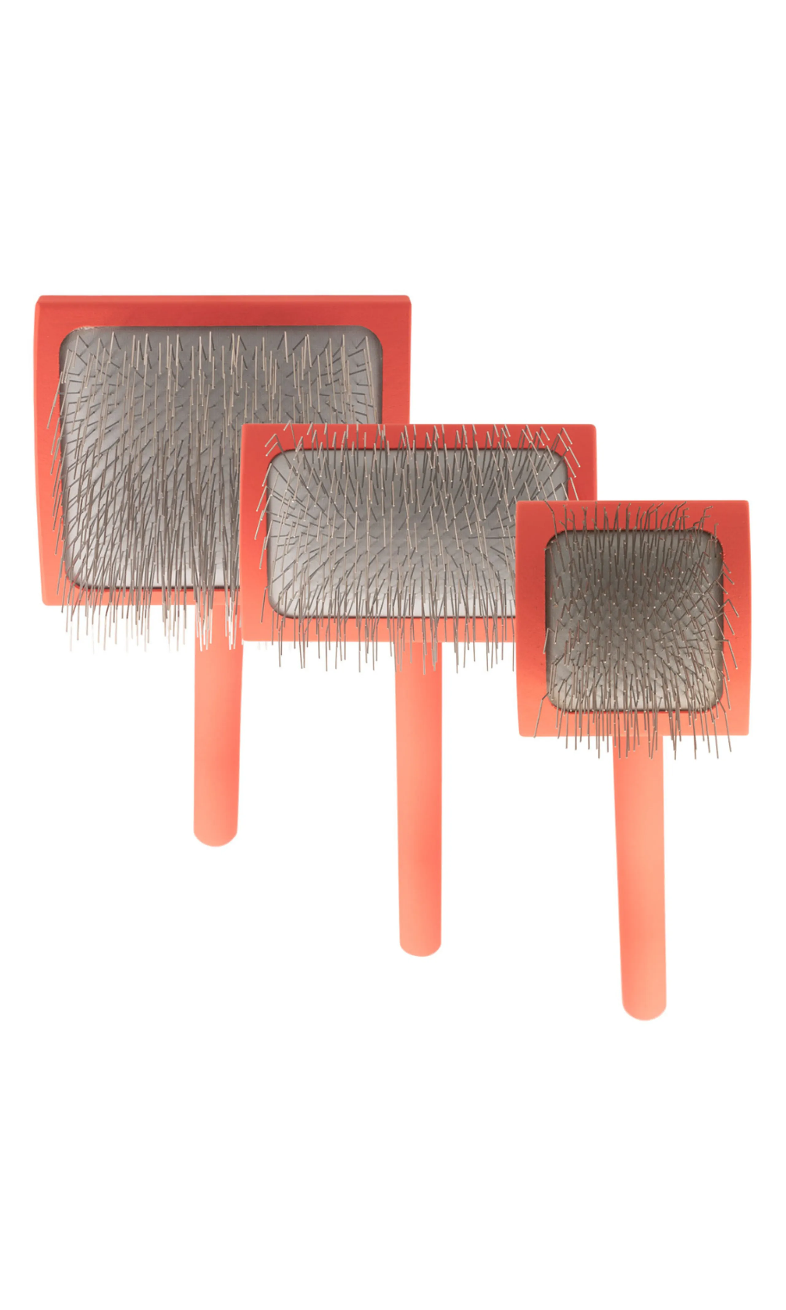 A collection of slicker brushes in various sizes, essential for dog grooming
