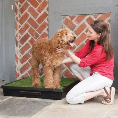 A compact indoor dog potty system with synthetic grass