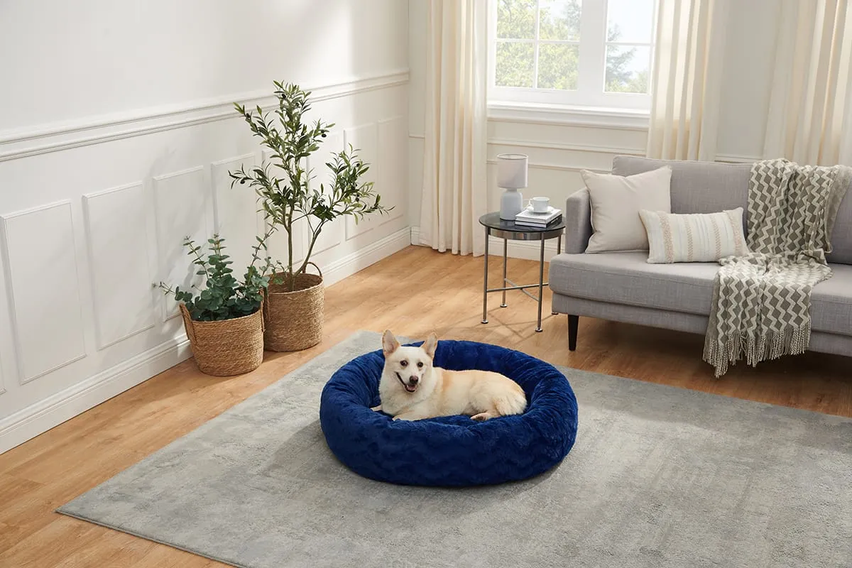 A Corgi in a plush donut bed, looking cozy and content.