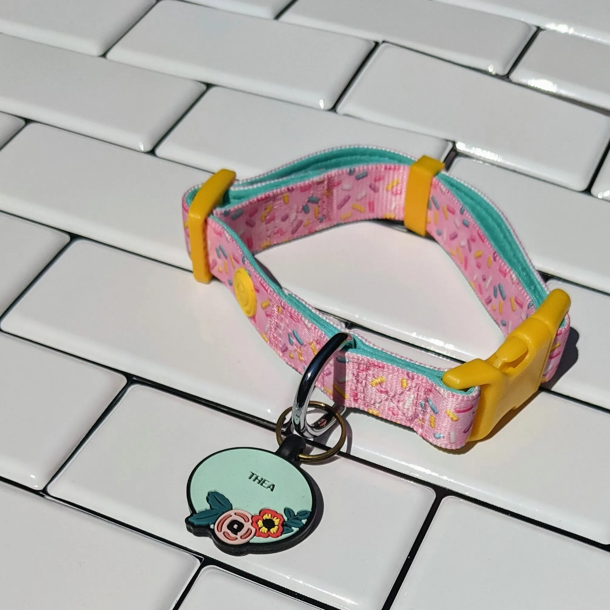 A curious puppy wearing a QALO silicone dog tag, looking ahead.