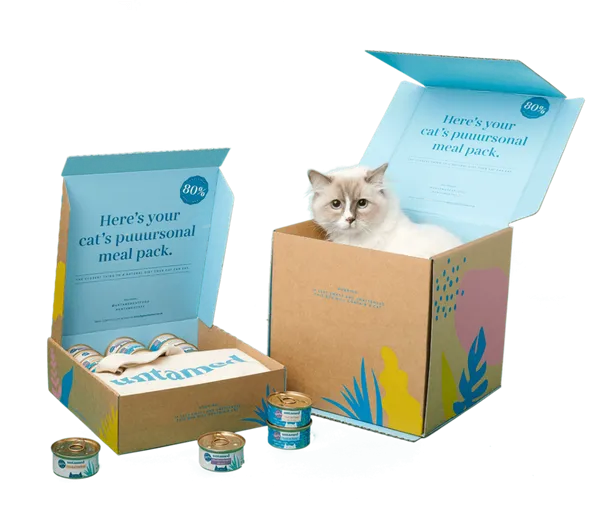 A curious Siamese cat inspecting a box of Untamed cat food, showcasing its intelligence.