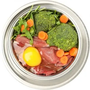 A Dachshund enjoying a meal of fresh, raw dog food, highlighting a popular dietary trend among pet owners.