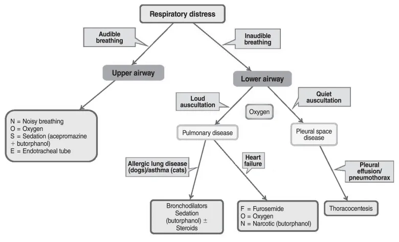 A detailed veterinary flowchart outlining the systematic stabilization process for dogs and cats experiencing respiratory distress, from initial oxygen to specific treatments.