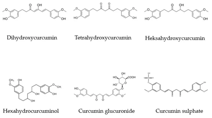 A diagram illustrating the chemical structures of the main metabolites of curcumin.