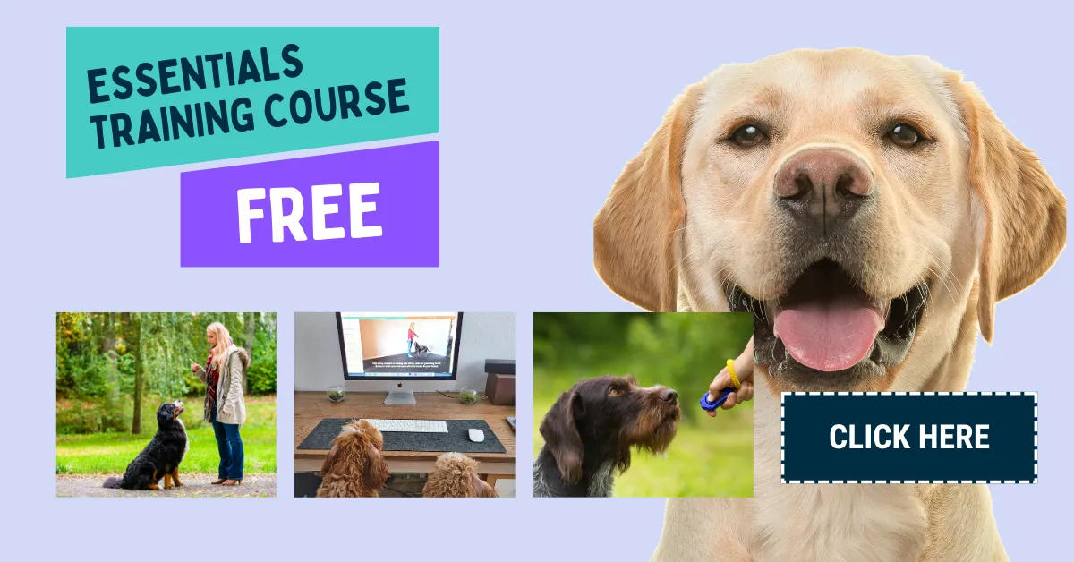 A diagram illustrating the interconnected stages of service dog training from puppyhood to public access.