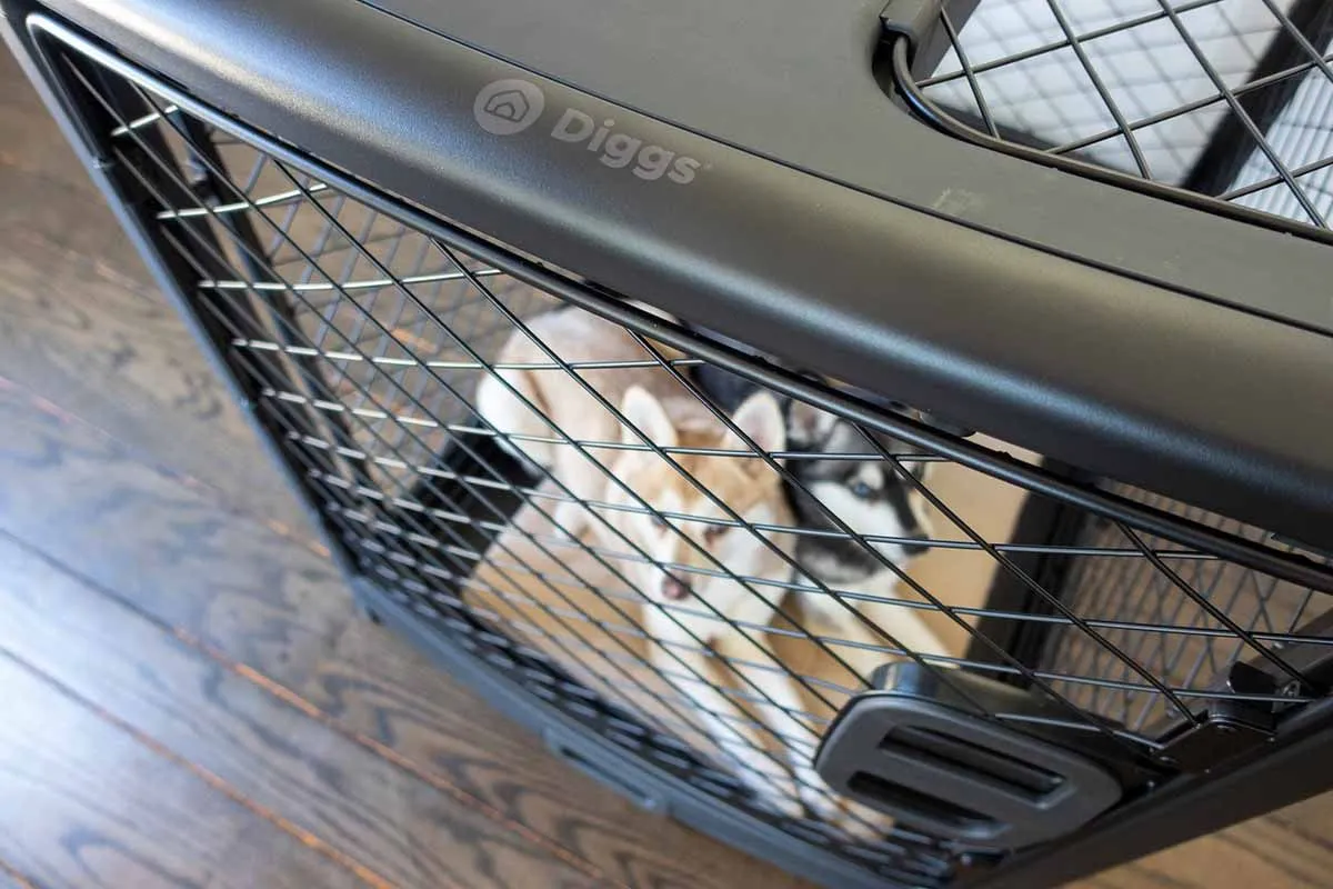 A Diggs Revol dog crate with a plush bed inside, ready for a pet to use.