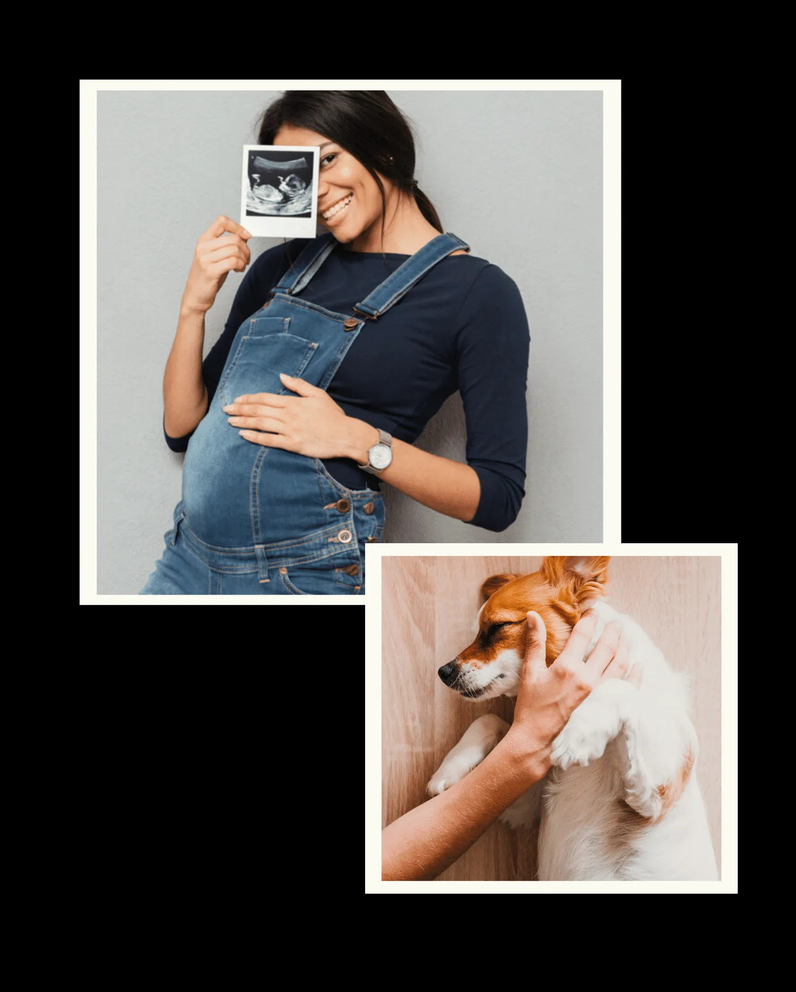 A dog and a baby interacting gently, showing a developing positive relationship