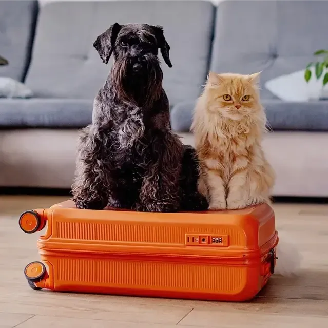 A dog and cat sitting together, symbolizing comprehensive pet care services