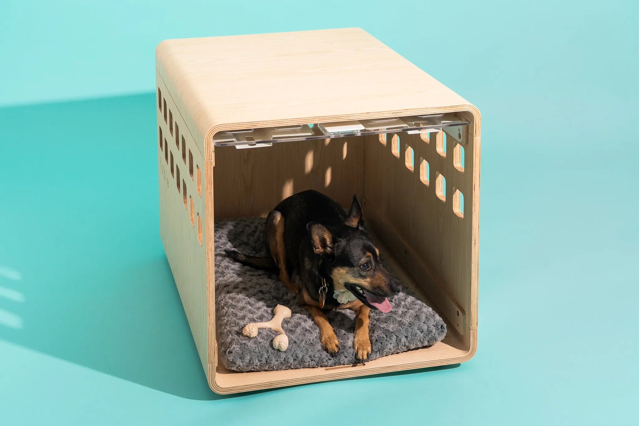 A dog comfortably resting inside a Fable Crate, which seamlessly blends into a modern home setting.