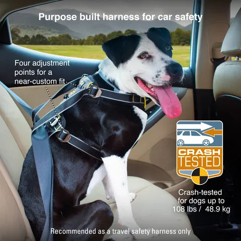 A dog comfortably secured in an Impact Dog Seat Belt Harness during a car ride, illustrating safety and peace of mind