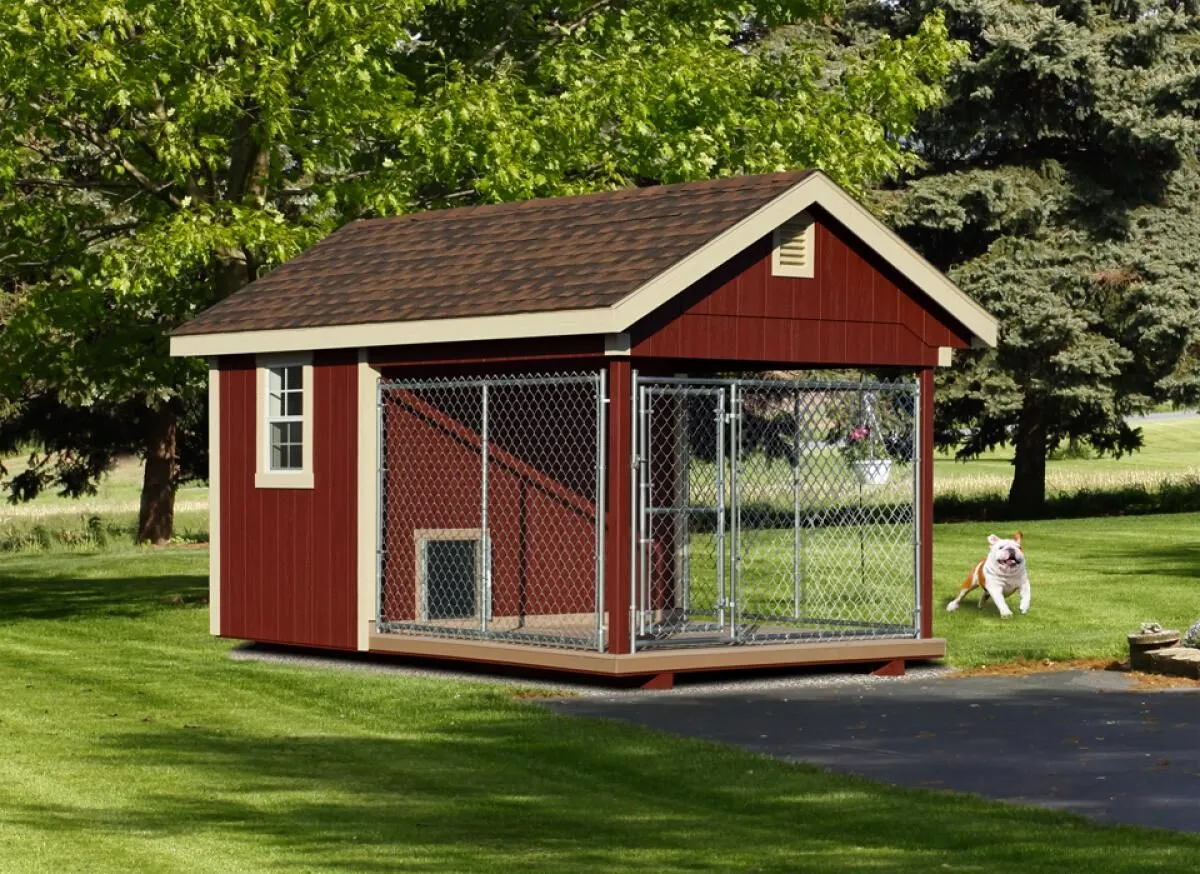 A dog exploring a spacious red outdoor kennel in a grassy yard, demonstrating positive introduction.