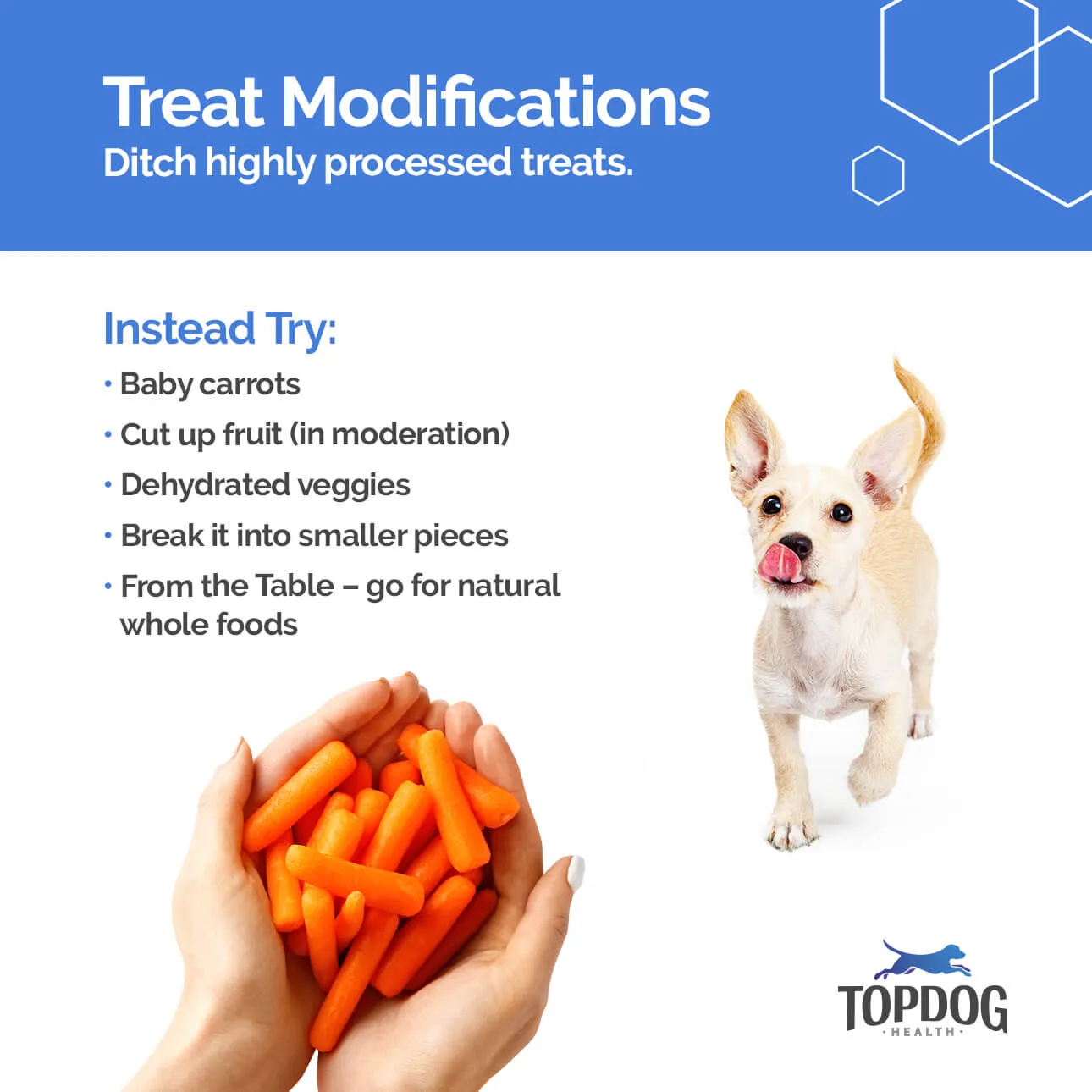 A dog happily eating a treat, with text highlighting treat modifications for weight loss in arthritic dogs, such as choosing natural options or breaking larger treats into smaller pieces.