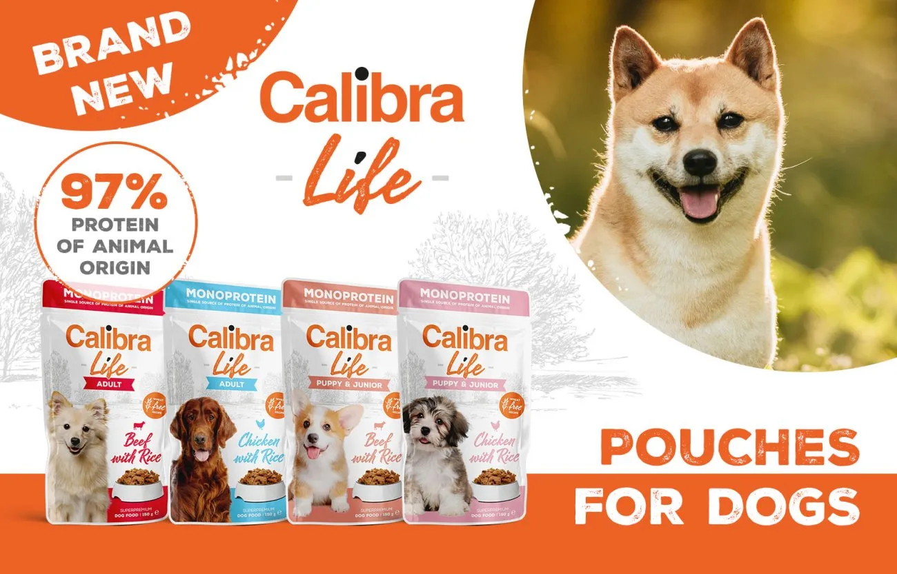 A dog happily eating from a Calibra Life Pouch, demonstrating healthy appetite