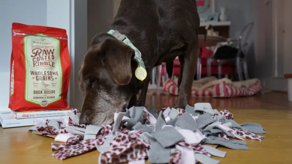 A dog happily engaging with a snuffle mat, searching for hidden treats, demonstrating canine enrichment
