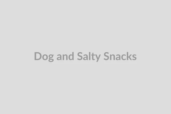 A dog looking at a bowl of heavily salted potato chips