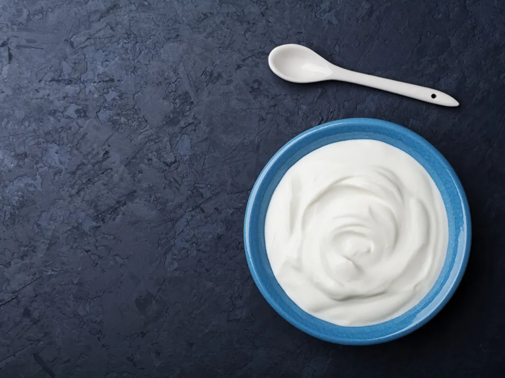 A dog looking at a bowl of plain Greek yogurt