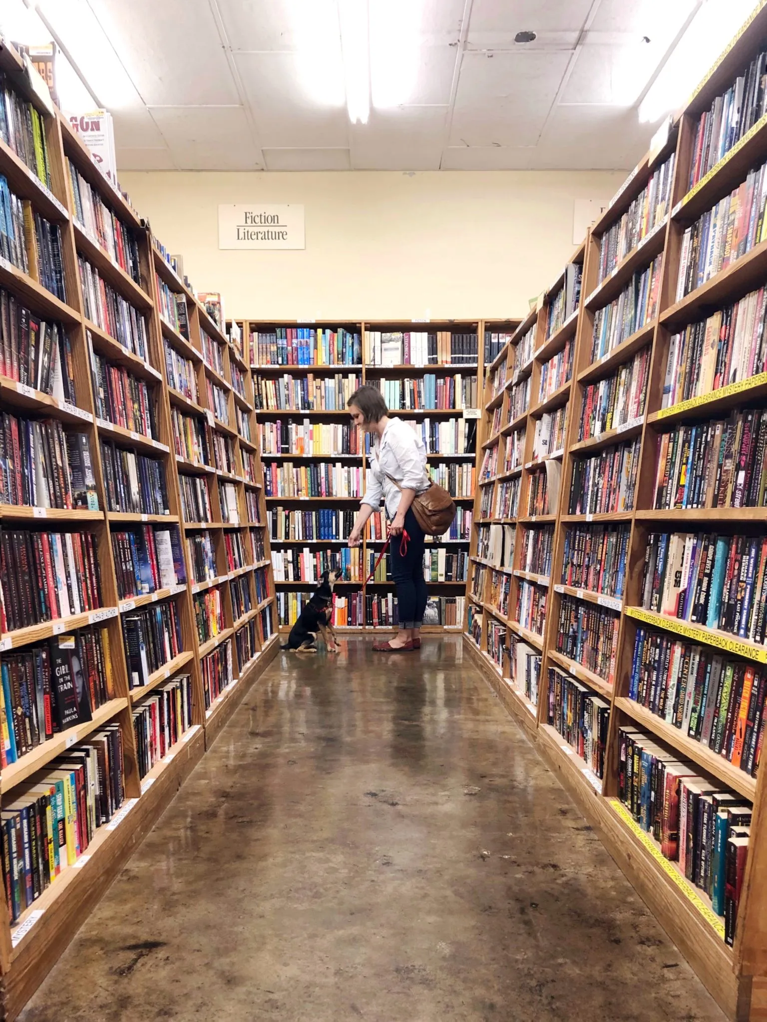A dog looking attentively at its owner, practicing good behavior in a public dog-friendly bookstore