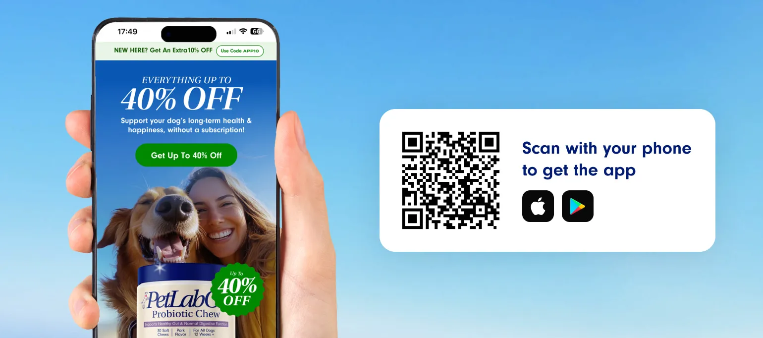 A dog owner ensuring their pet's health and wellness