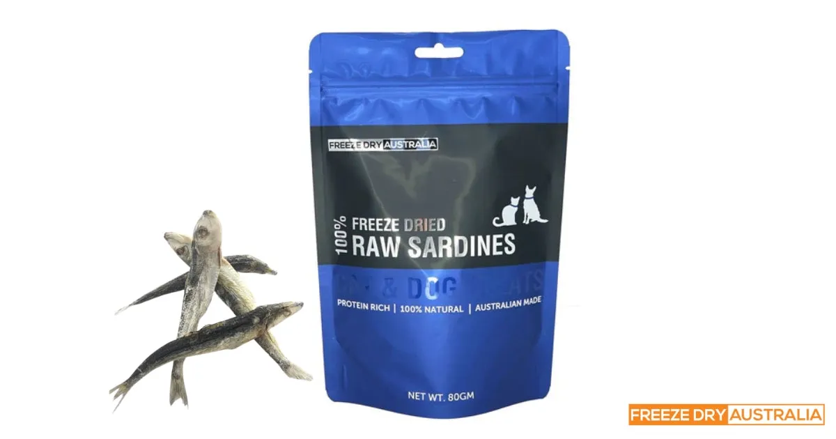 A dog sits calmly, suggesting a well-balanced diet contributes to its serene demeanor.