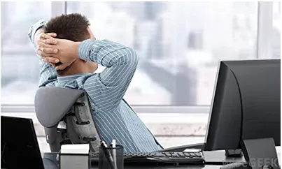 A dog sitting attentively beside its owner, showing companionship