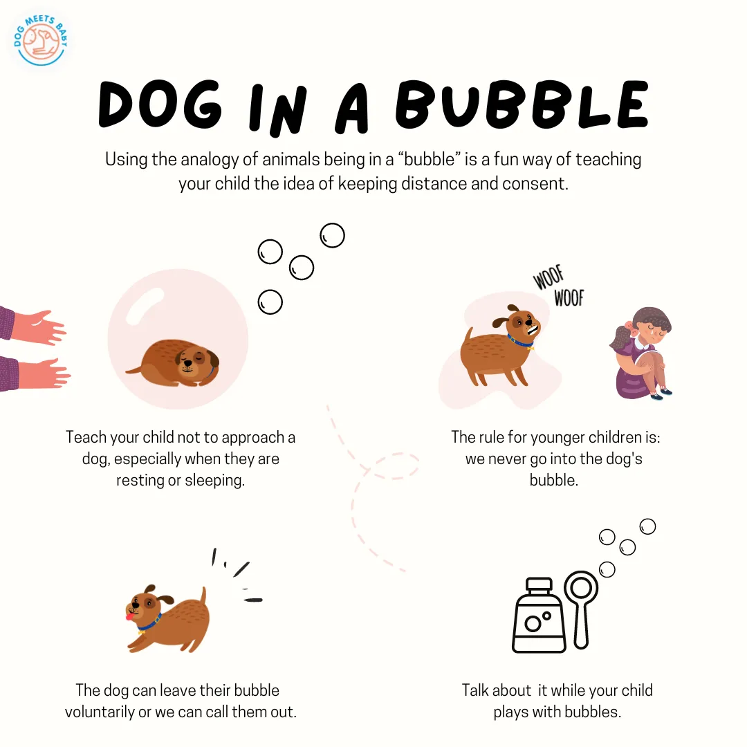 A dog sitting peacefully inside an imaginary bubble, illustrating the concept of personal space for pets.