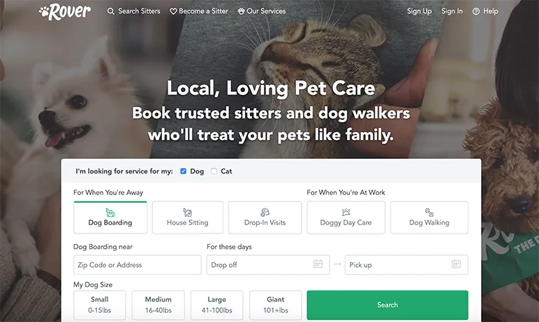 A dog walker holding two leashed dogs, one black and one brown, on a sunny day.