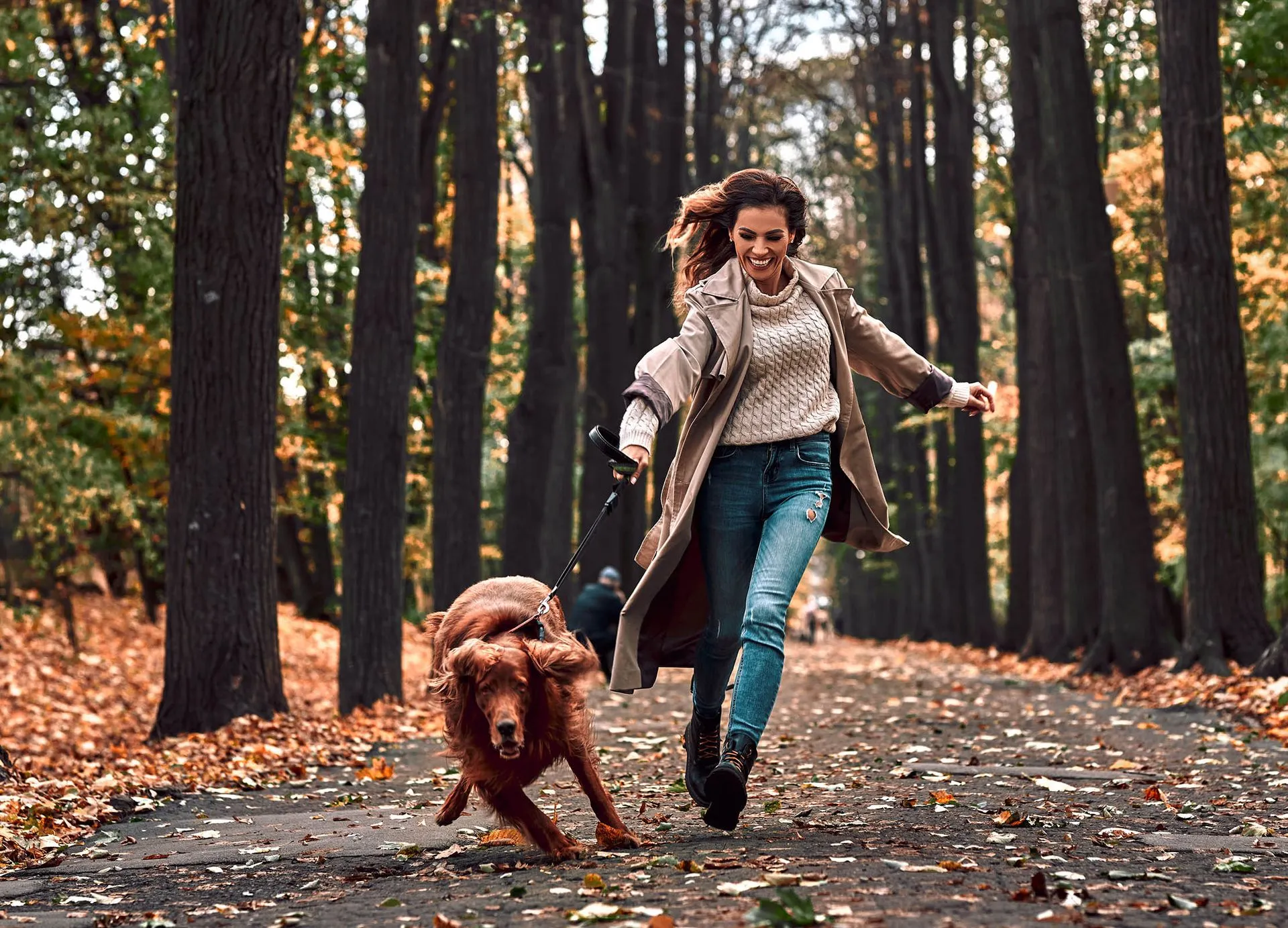 A dog walking calmly on a loose slip lead, maintaining a balanced and upright posture.