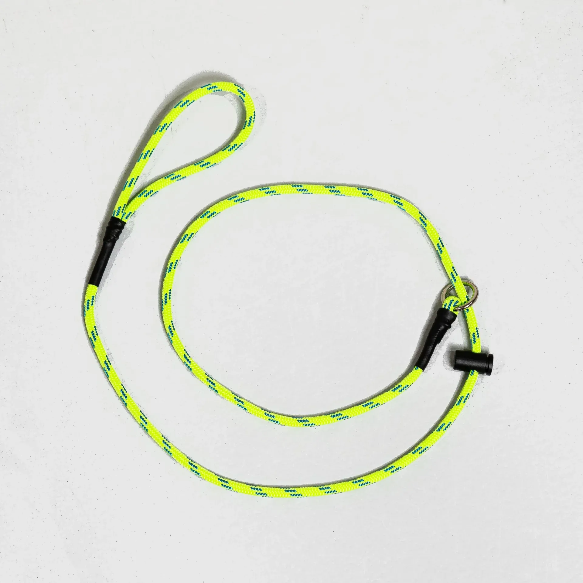 A dog wearing a slip leash during a training session with a handler