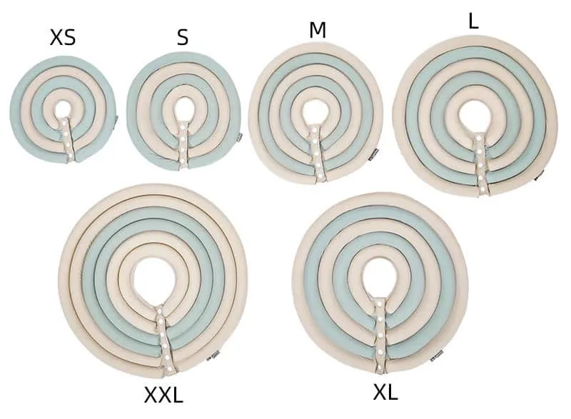 A dog wearing a soft Elizabethan collar, looking comfortable and calm during its recovery period.