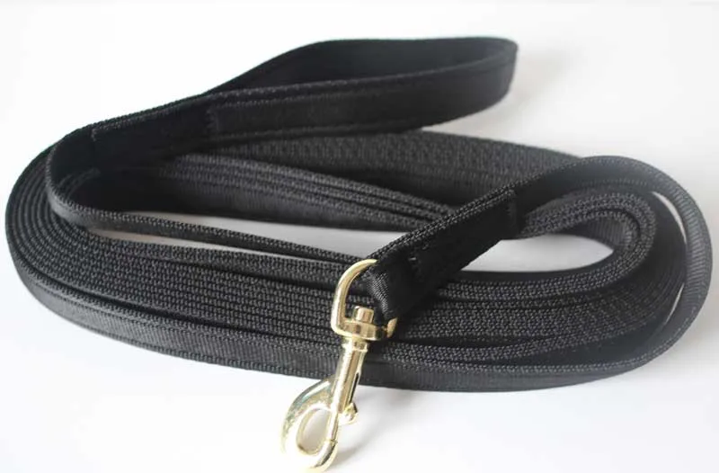 A dog wears a harness and a long training lead, illustrating safe recall practice in an open field