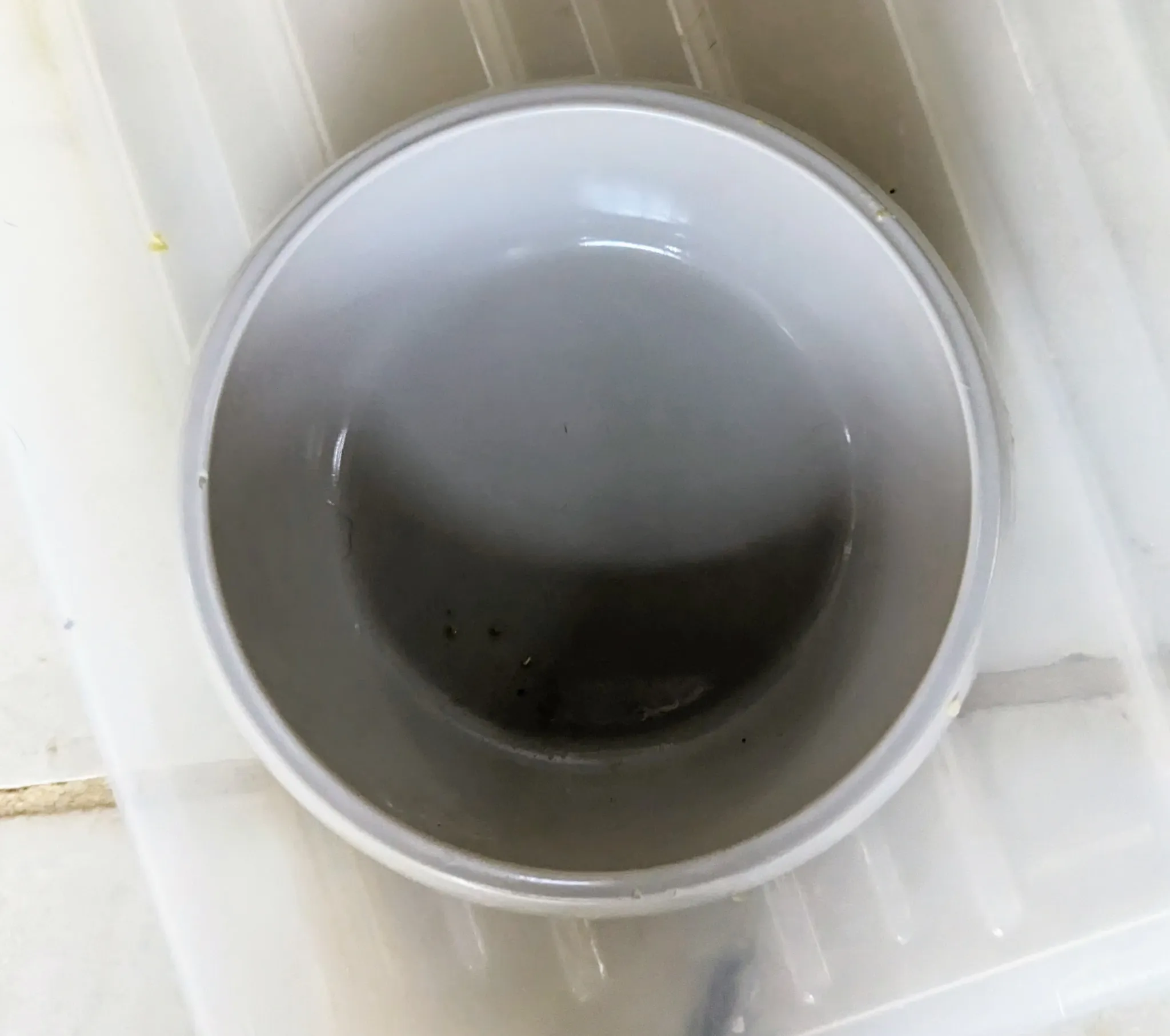 A dog's bowl licked clean after enjoying a serving of nutritious homemade dog food.