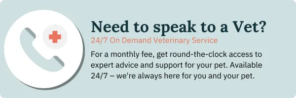 A dog's leg being carefully bandaged by a person, illustrating proper technique for canine wound care.