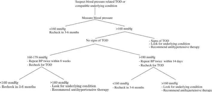 A flowchart showing the recommended approach to evaluating a possibly hypertensive dog, including blood pressure measurements and identification of target organ damage.