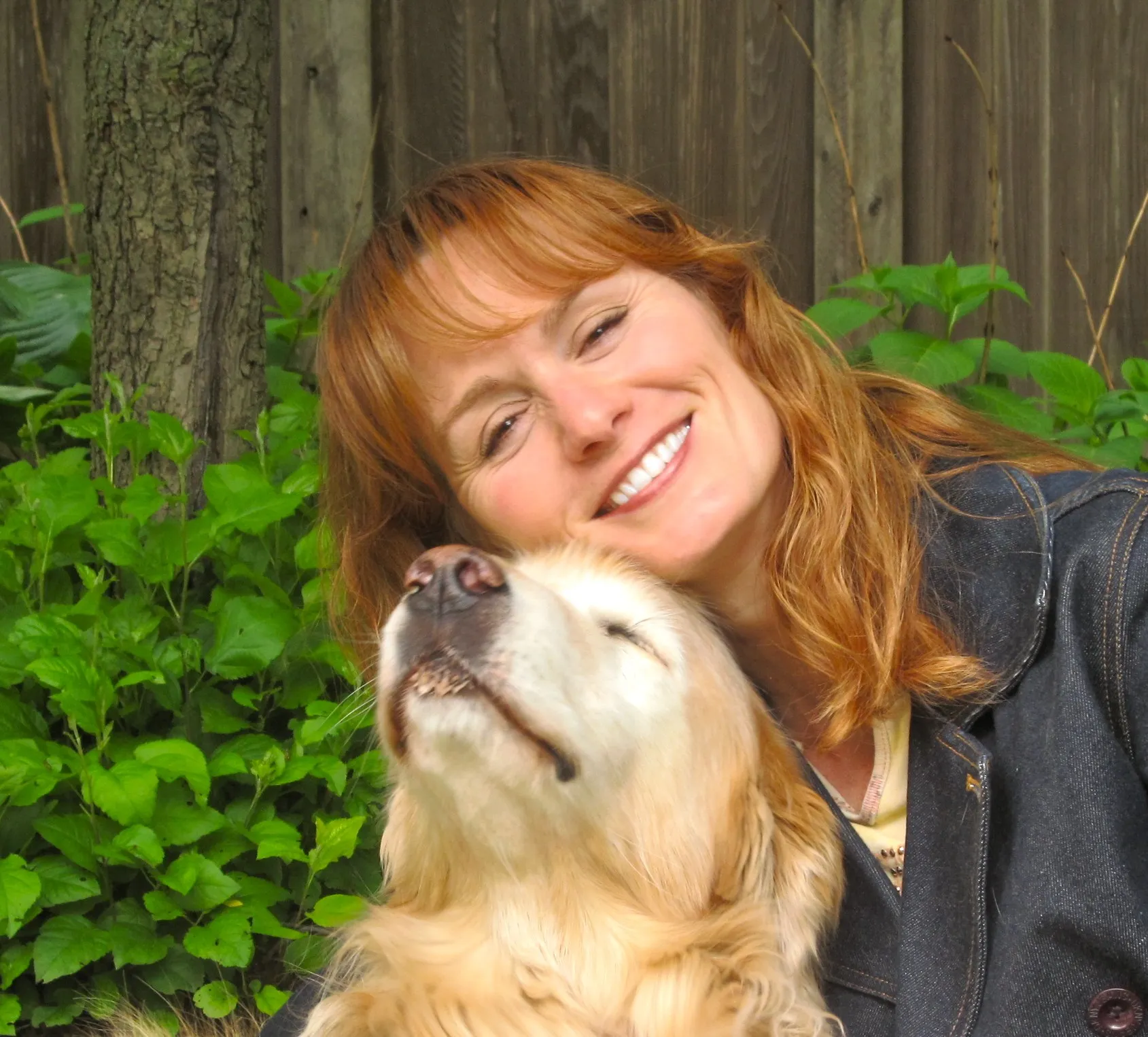 A friendly dog looking attentively at its pet sitter, receiving gentle care