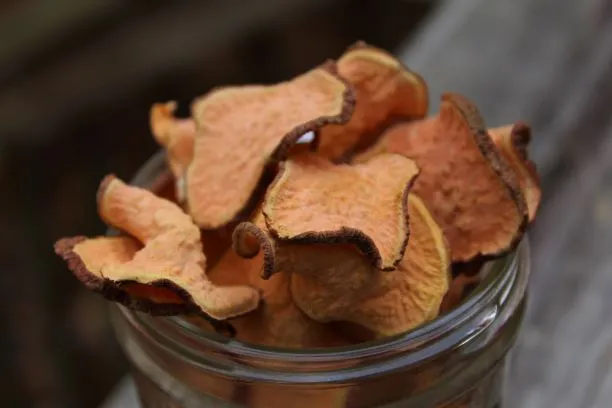 A glass jar filled with crunchy homemade sweet potato dog treats