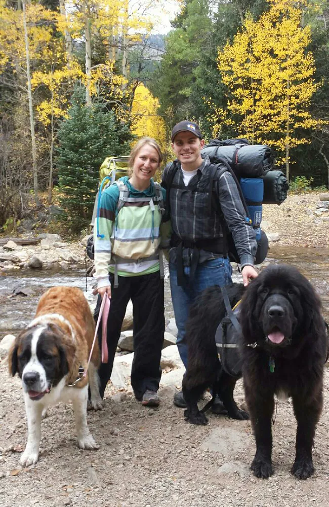 A Golden Retriever dog running playfully on a rocky trail towards a mountain lake