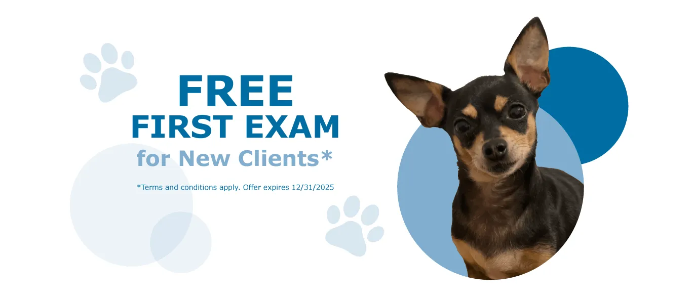 A graphic advertising a free first veterinary exam, signaling a welcoming offer for new pet clients