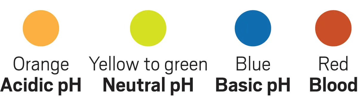 a graphic showing the color changes of Pretty Litter at acidic, neutral, and basic pH as well as with hemoglobin.