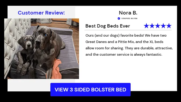 A Great Dane comfortably resting on a Bully Bed, illustrating customer satisfaction and generous sizing