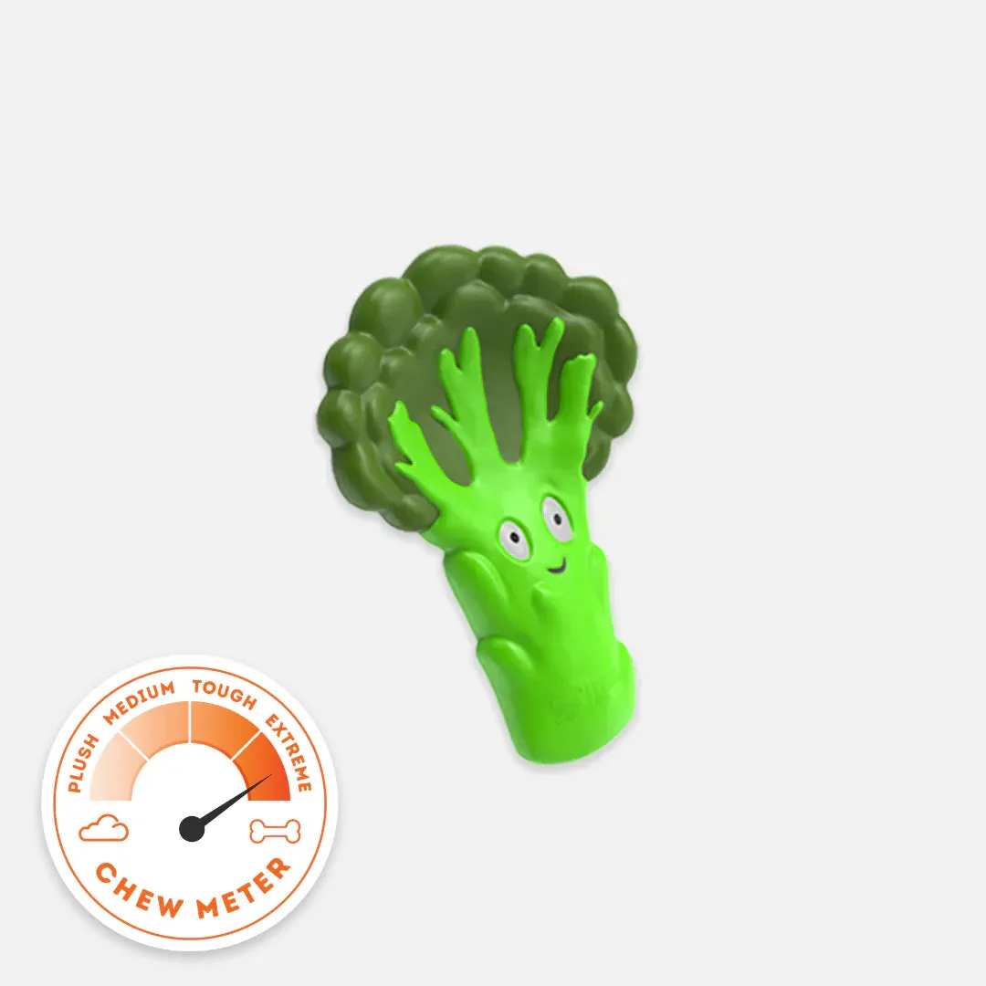 A green broccoli-shaped dog chew toy